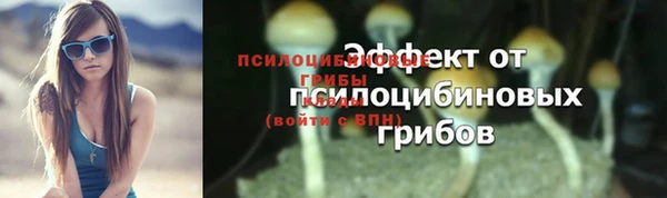 прущая мука Покачи