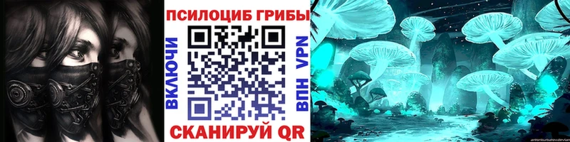 omg   Карабулак  Галлюциногенные грибы ЛСД  купить наркотик 