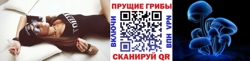 Псилоцибиновые грибы мицелий Карабулак